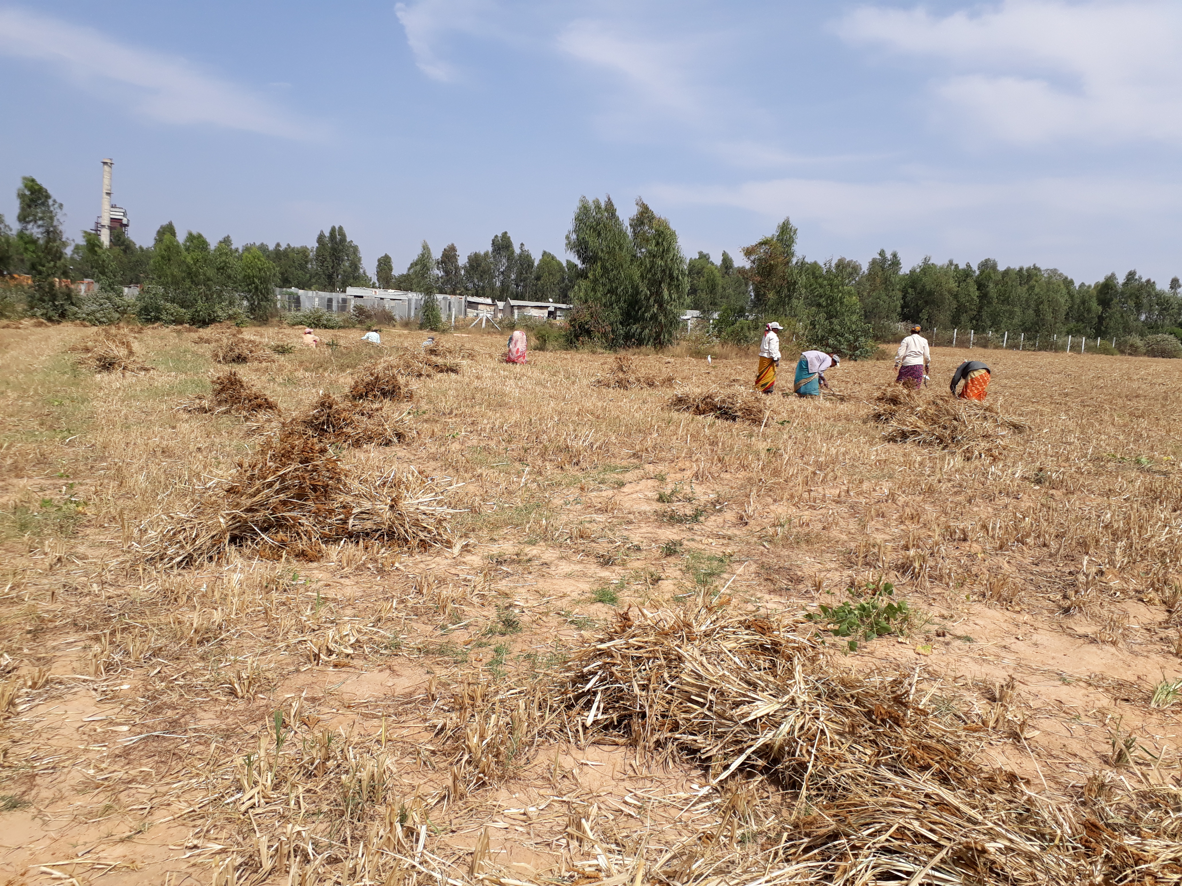 Site Initial Stage