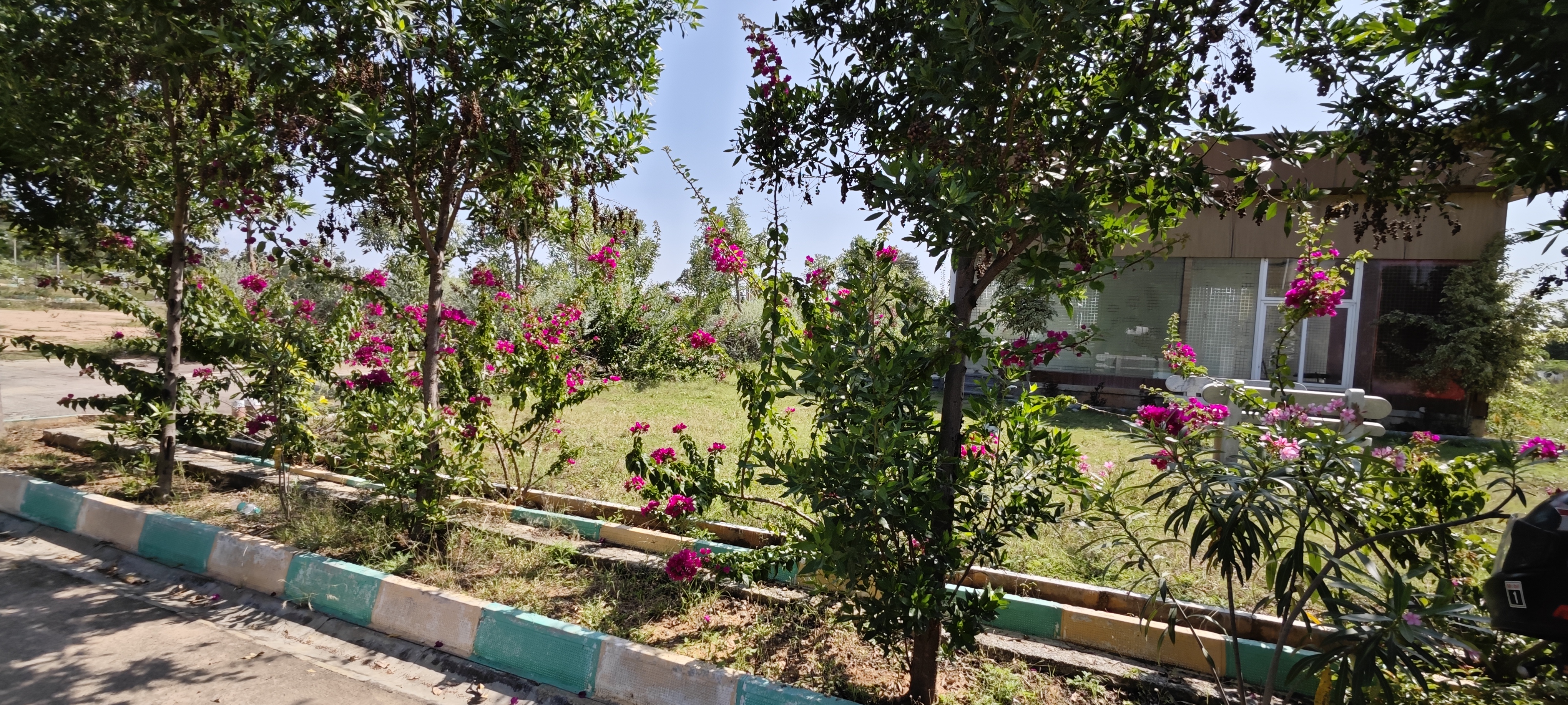 IMG 20241208 130205
