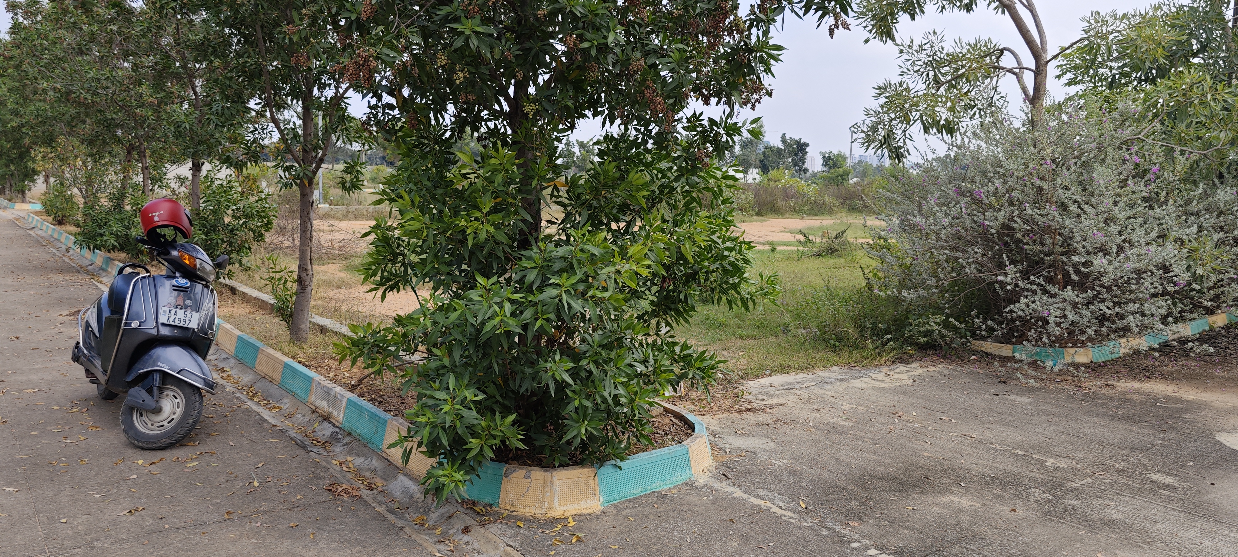 IMG 20251108 131842